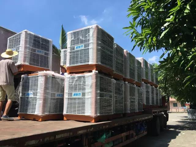 工廠車間快速降溫方法，你知道嗎？