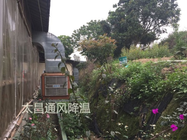 餐廳太熱？環(huán)?？照{(diào)為你送清風(fēng)